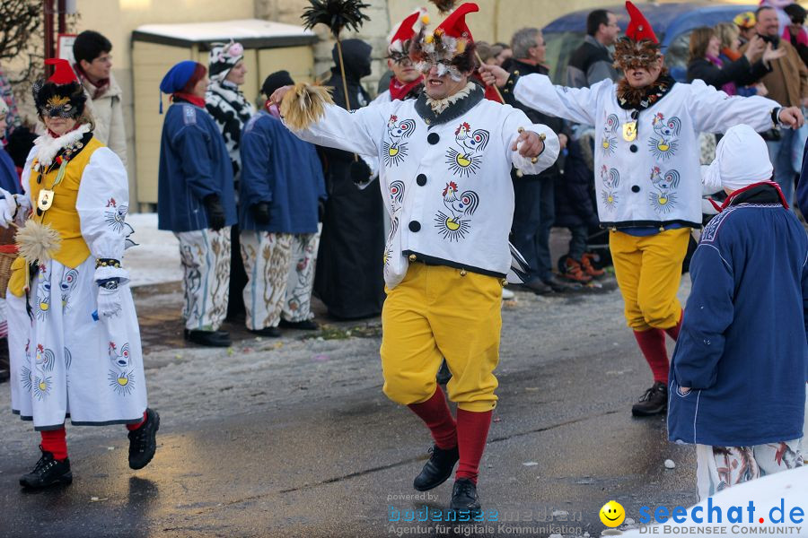 Narrenumzug: Villingen, 16.02.2010