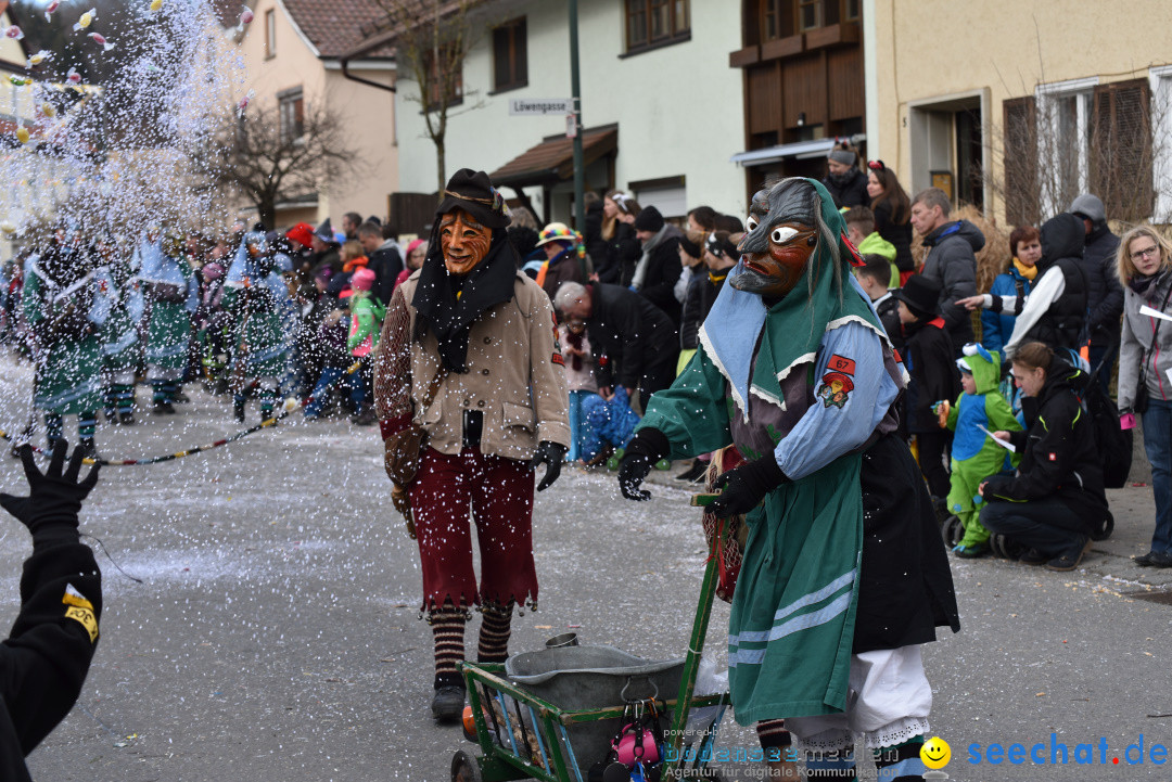 Jubilaeumsumzug - 60 Jahre Zeller Katz: Eberhardszell, 24.02.2019