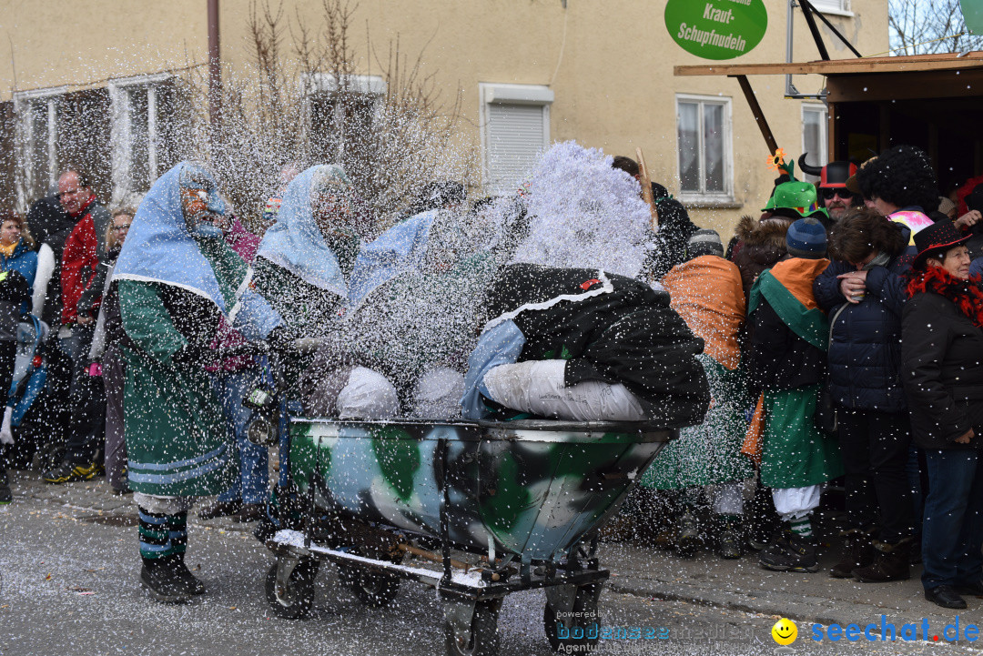 Jubilaeumsumzug - 60 Jahre Zeller Katz: Eberhardszell, 24.02.2019