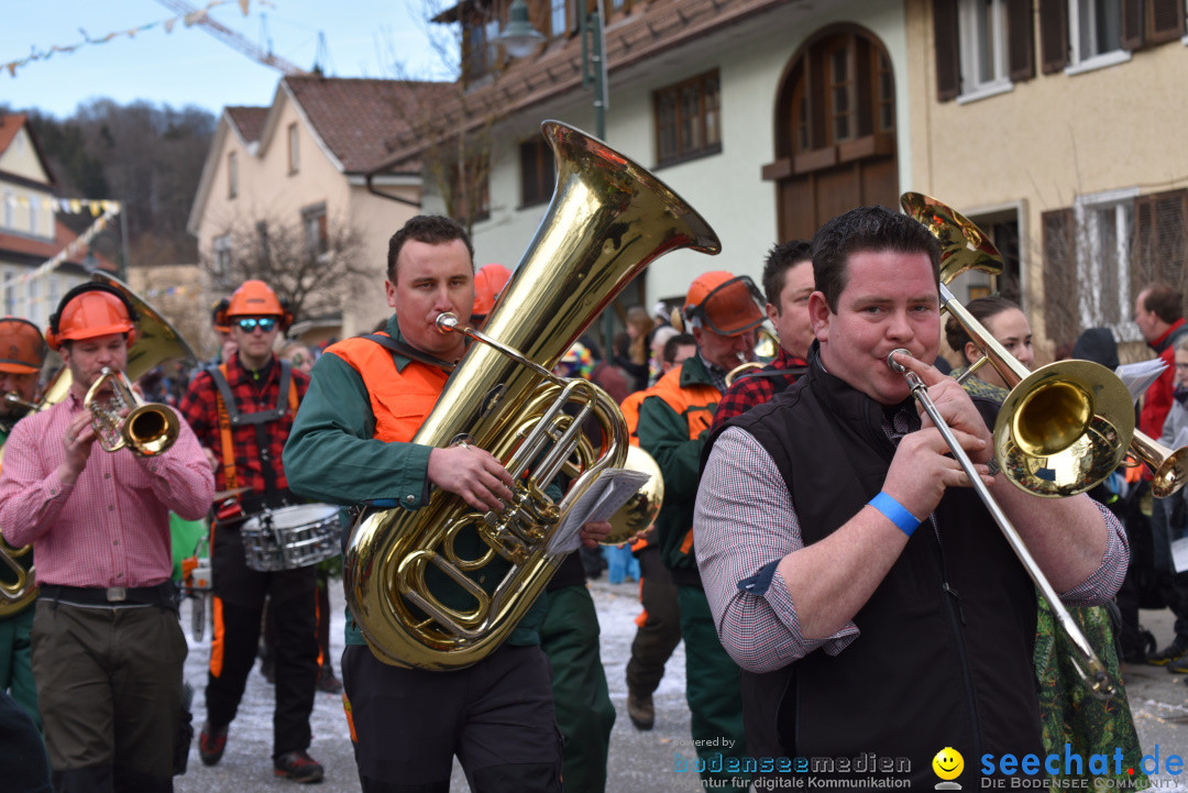 Jubilaeumsumzug - 60 Jahre Zeller Katz: Eberhardszell, 24.02.2019