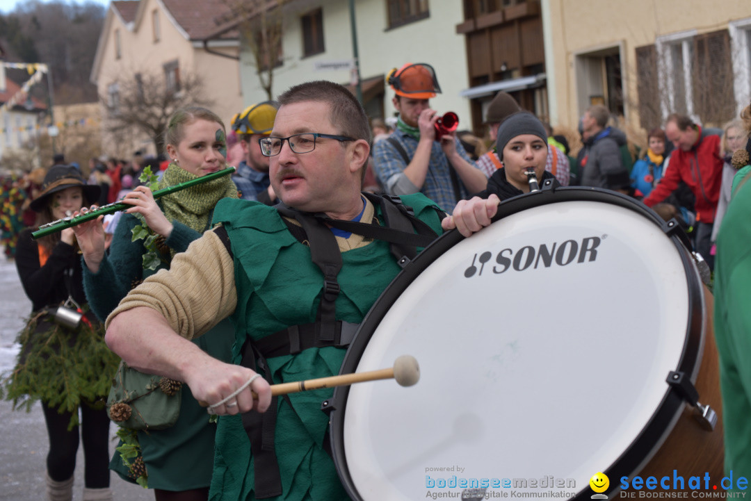 Jubilaeumsumzug - 60 Jahre Zeller Katz: Eberhardszell, 24.02.2019