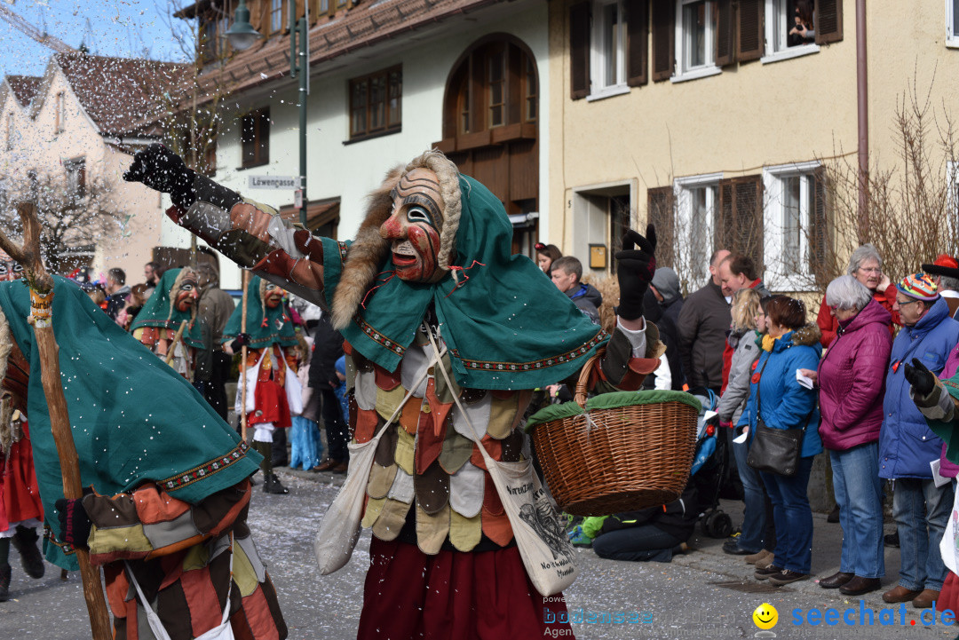 Jubilaeumsumzug - 60 Jahre Zeller Katz: Eberhardszell, 24.02.2019