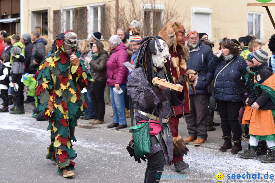 Jubilaeumsumzug - 60 Jahre Zeller Katz: Eberhardszell, 24.02.2019