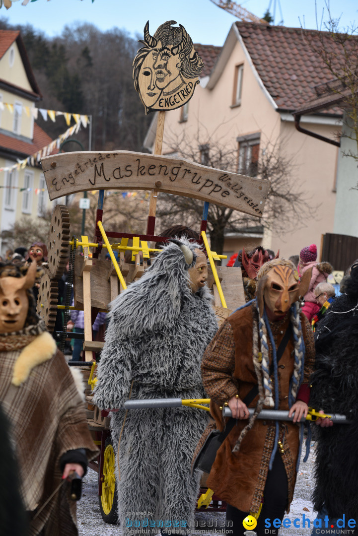 Jubilaeumsumzug - 60 Jahre Zeller Katz: Eberhardszell, 24.02.2019