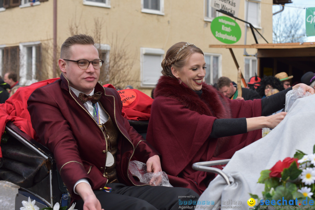 Jubilaeumsumzug - 60 Jahre Zeller Katz: Eberhardszell, 24.02.2019