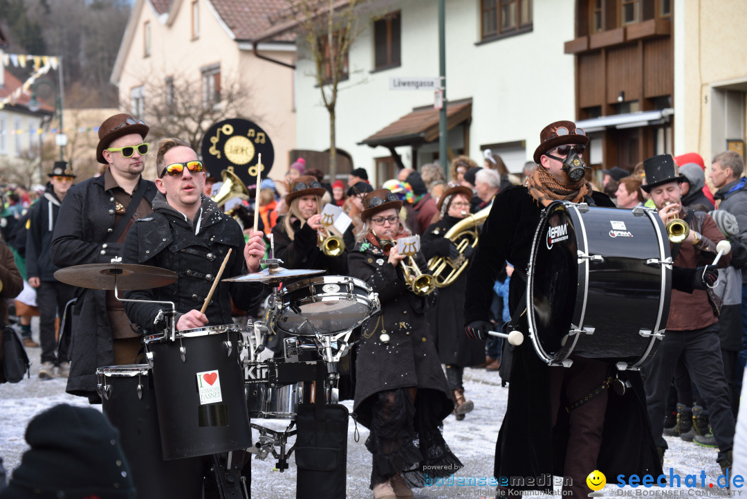 Jubilaeumsumzug - 60 Jahre Zeller Katz: Eberhardszell, 24.02.2019