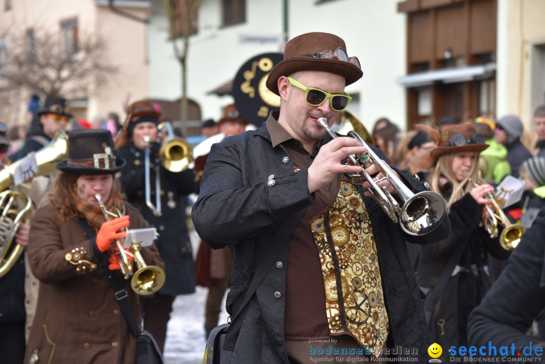 Jubilaeumsumzug - 60 Jahre Zeller Katz: Eberhardszell, 24.02.2019