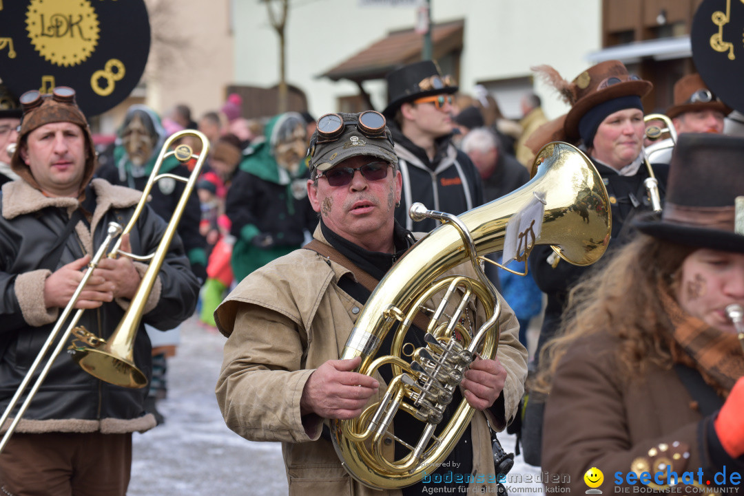 Jubilaeumsumzug - 60 Jahre Zeller Katz: Eberhardszell, 24.02.2019