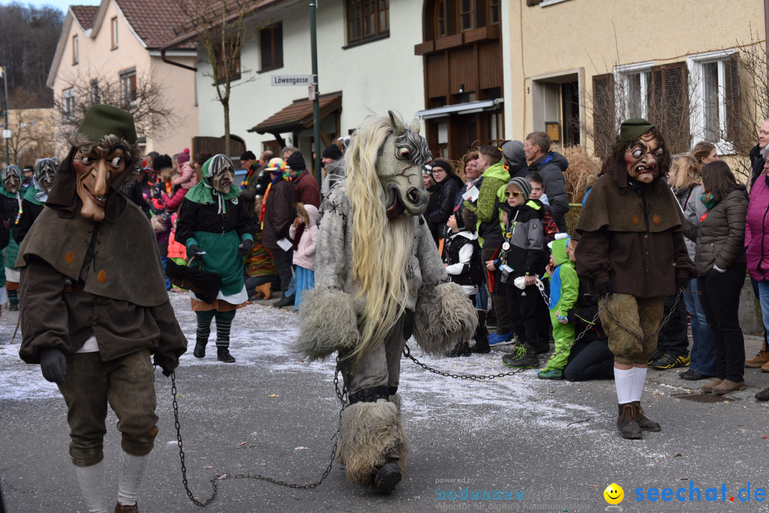 Jubilaeumsumzug - 60 Jahre Zeller Katz: Eberhardszell, 24.02.2019