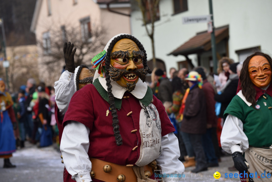 Jubilaeumsumzug - 60 Jahre Zeller Katz: Eberhardszell, 24.02.2019