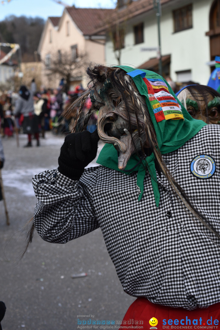 Jubilaeumsumzug - 60 Jahre Zeller Katz: Eberhardszell, 24.02.2019