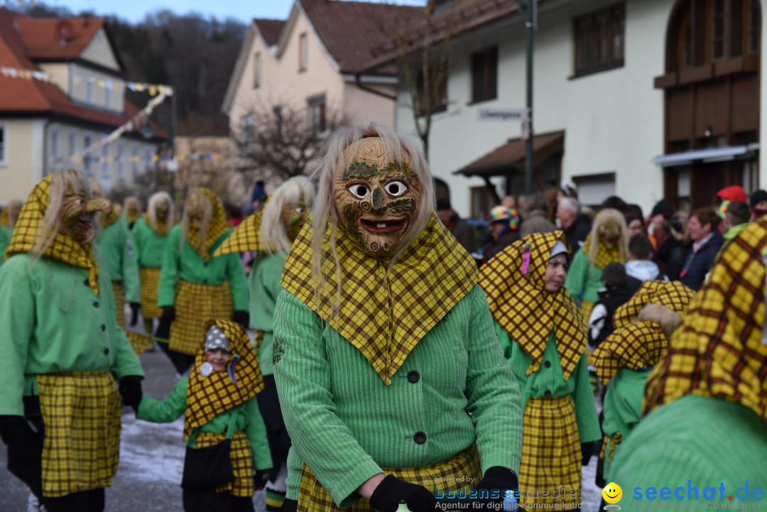 Jubilaeumsumzug - 60 Jahre Zeller Katz: Eberhardszell, 24.02.2019