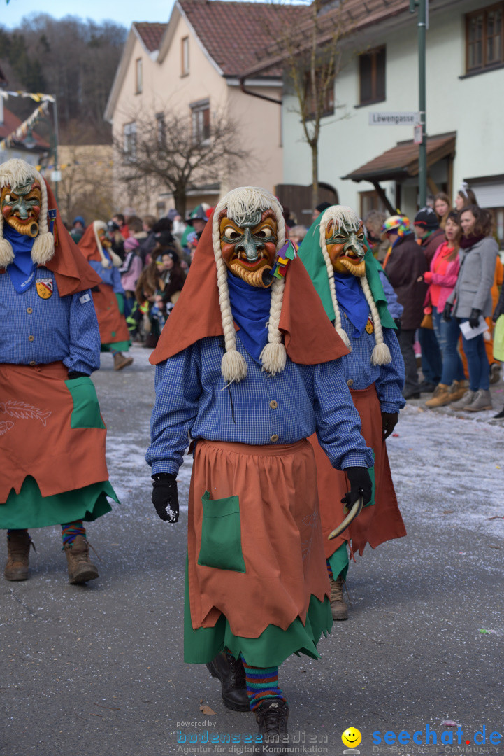 Jubilaeumsumzug - 60 Jahre Zeller Katz: Eberhardszell, 24.02.2019