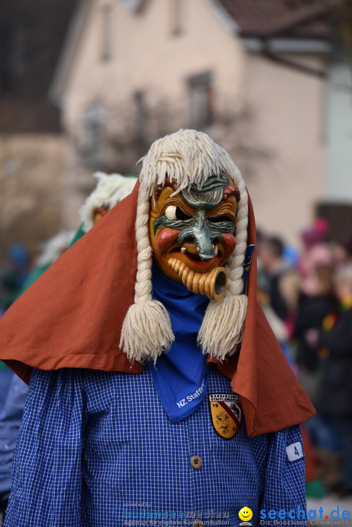 Jubilaeumsumzug - 60 Jahre Zeller Katz: Eberhardszell, 24.02.2019