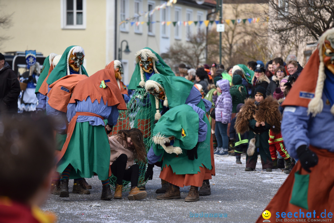 Jubilaeumsumzug - 60 Jahre Zeller Katz: Eberhardszell, 24.02.2019