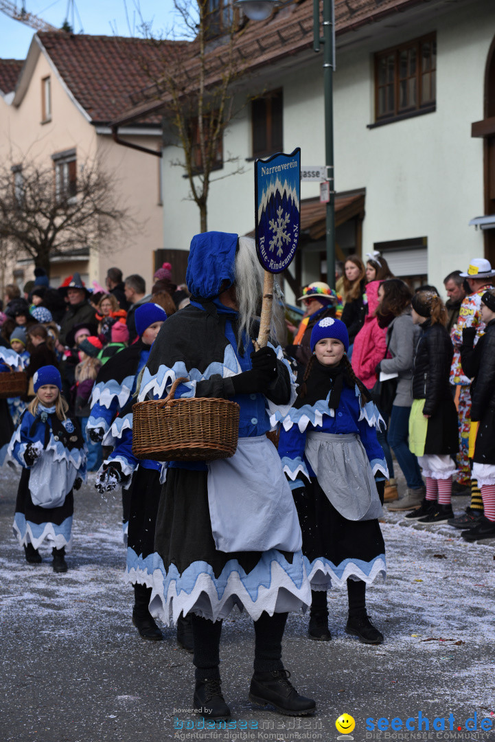 Jubilaeumsumzug - 60 Jahre Zeller Katz: Eberhardszell, 24.02.2019