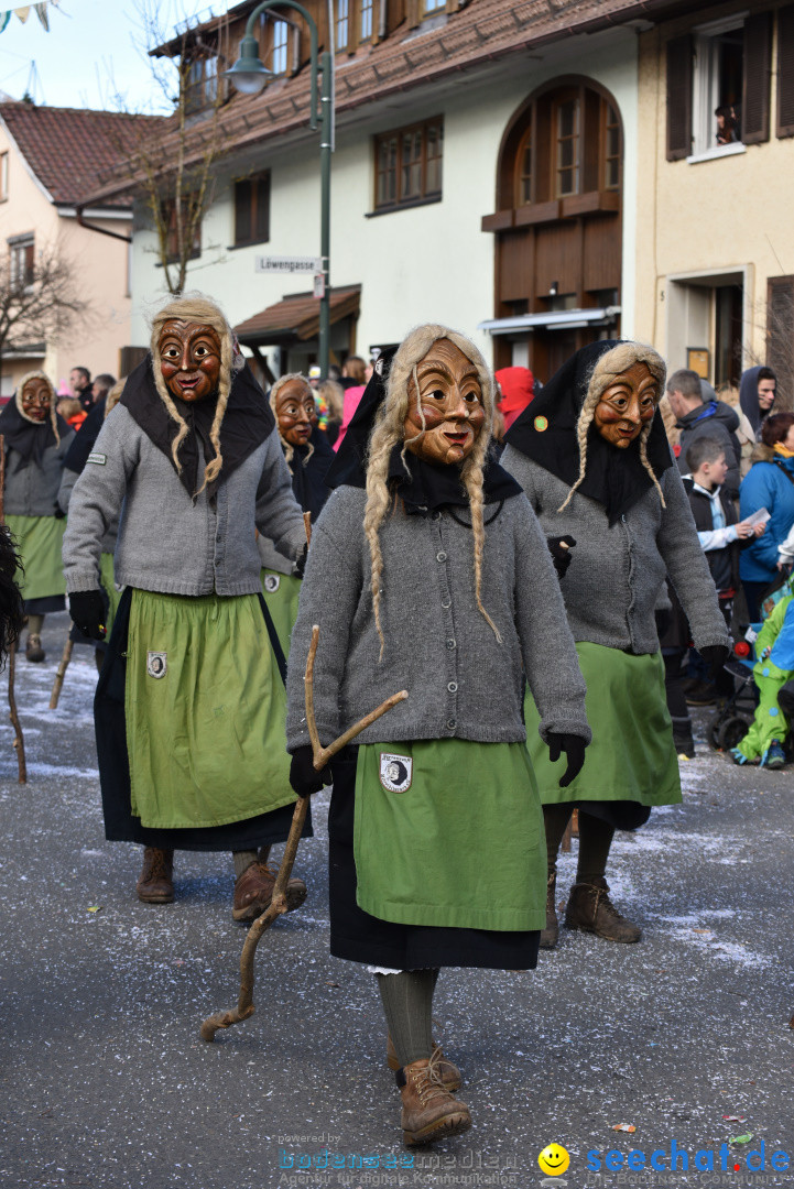 Jubilaeumsumzug - 60 Jahre Zeller Katz: Eberhardszell, 24.02.2019