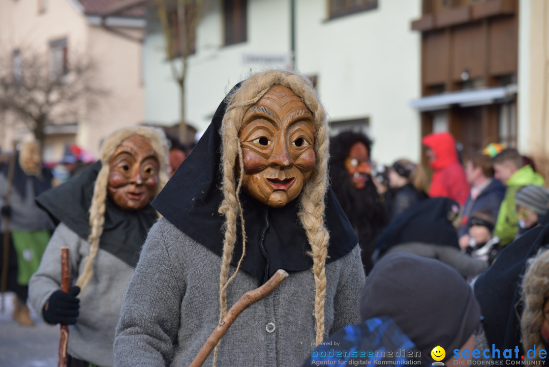 Jubilaeumsumzug - 60 Jahre Zeller Katz: Eberhardszell, 24.02.2019