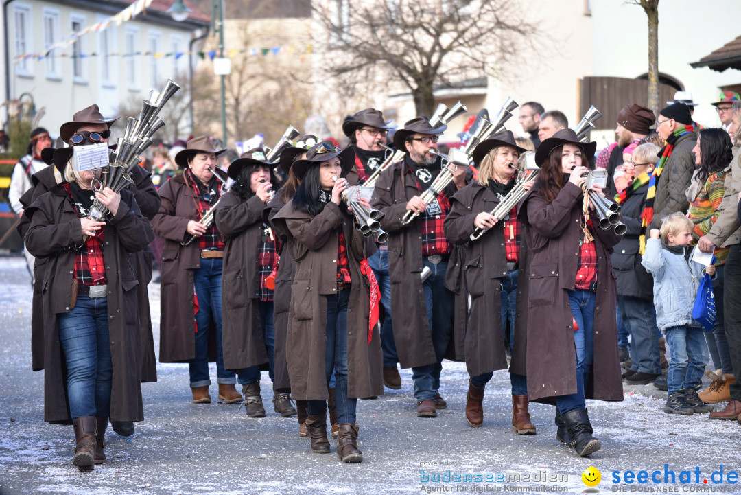 Jubilaeumsumzug - 60 Jahre Zeller Katz: Eberhardszell, 24.02.2019