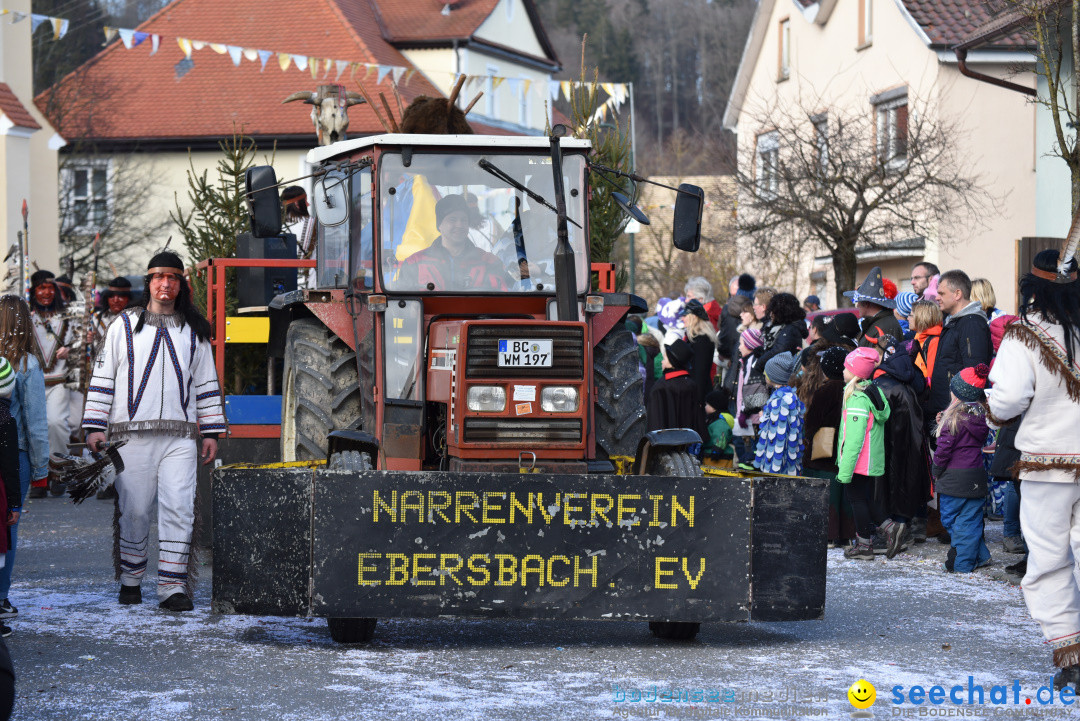 Jubilaeumsumzug - 60 Jahre Zeller Katz: Eberhardszell, 24.02.2019