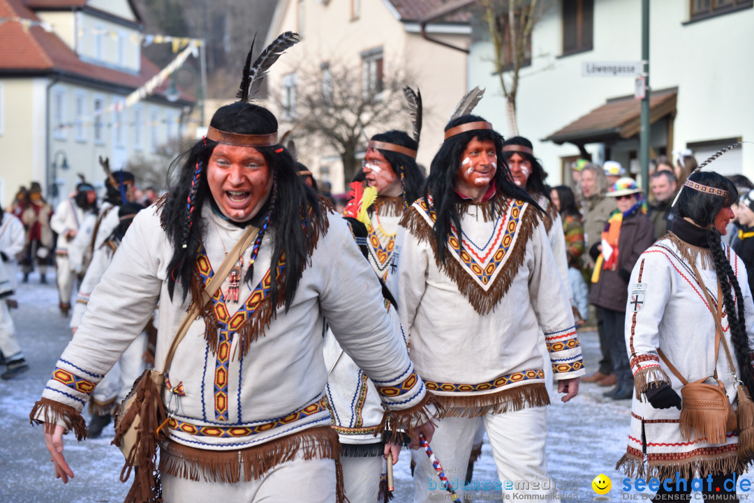 Jubilaeumsumzug - 60 Jahre Zeller Katz: Eberhardszell, 24.02.2019