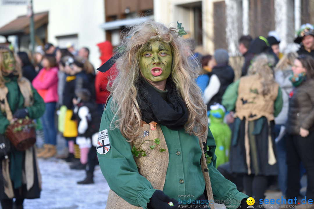 Jubilaeumsumzug - 60 Jahre Zeller Katz: Eberhardszell, 24.02.2019