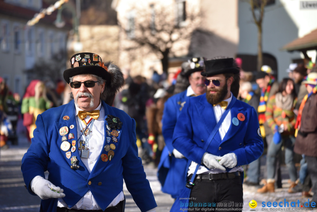 Jubilaeumsumzug - 60 Jahre Zeller Katz: Eberhardszell, 24.02.2019