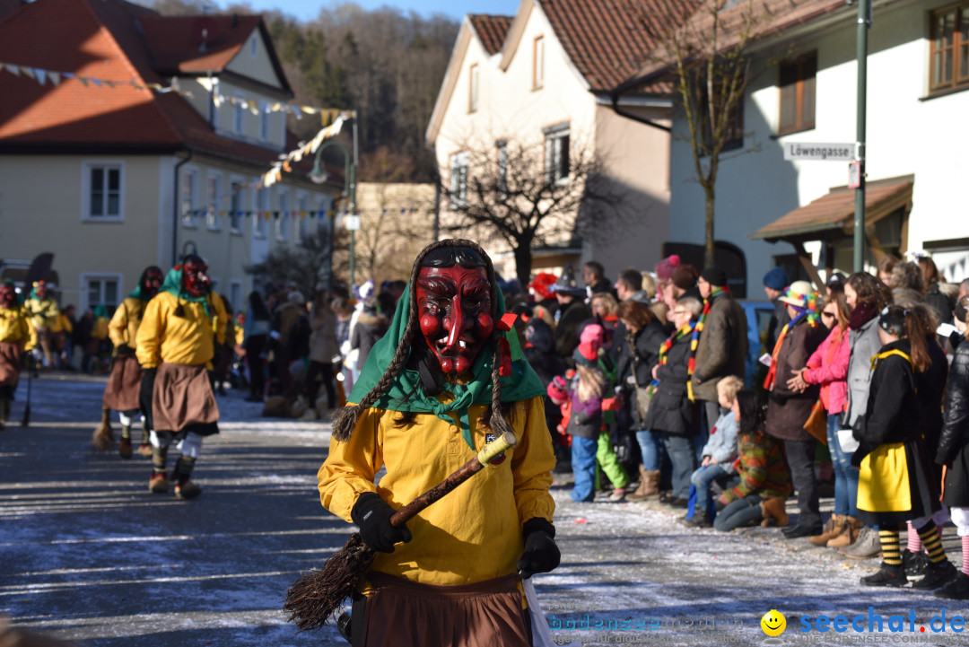 Jubilaeumsumzug - 60 Jahre Zeller Katz: Eberhardszell, 24.02.2019