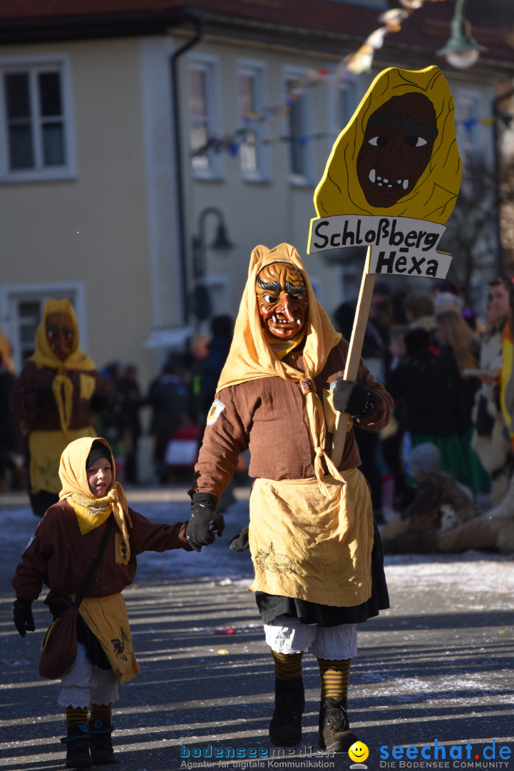 Jubilaeumsumzug - 60 Jahre Zeller Katz: Eberhardszell, 24.02.2019