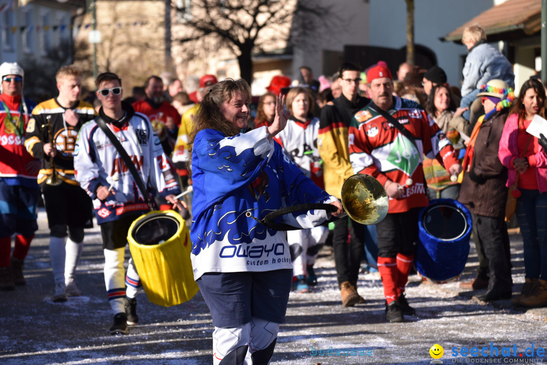 Jubilaeumsumzug - 60 Jahre Zeller Katz: Eberhardszell, 24.02.2019