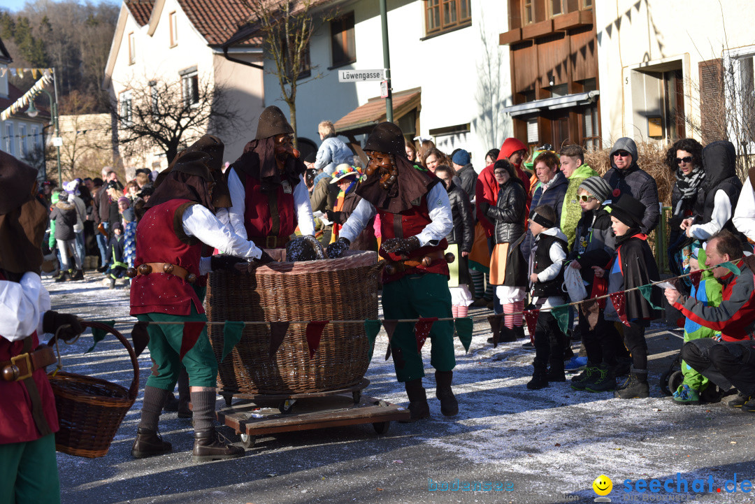 Jubilaeumsumzug - 60 Jahre Zeller Katz: Eberhardszell, 24.02.2019