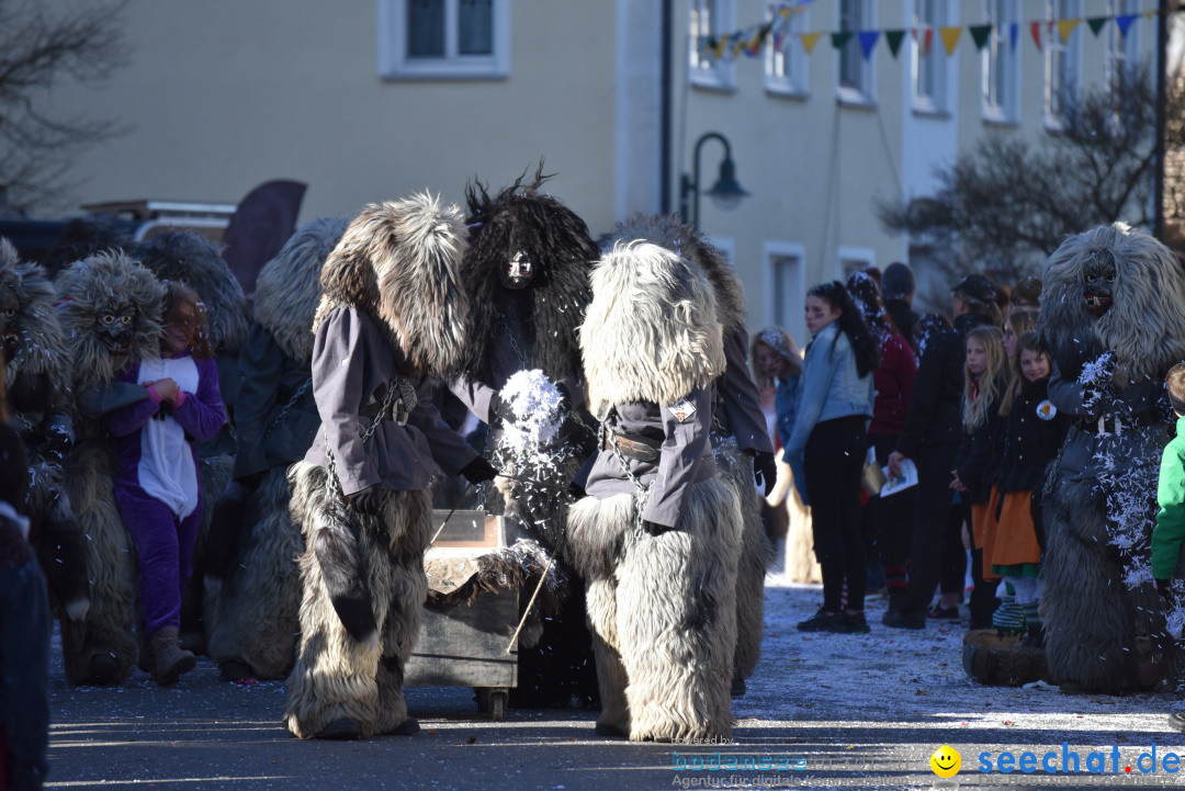 Jubilaeumsumzug - 60 Jahre Zeller Katz: Eberhardszell, 24.02.2019