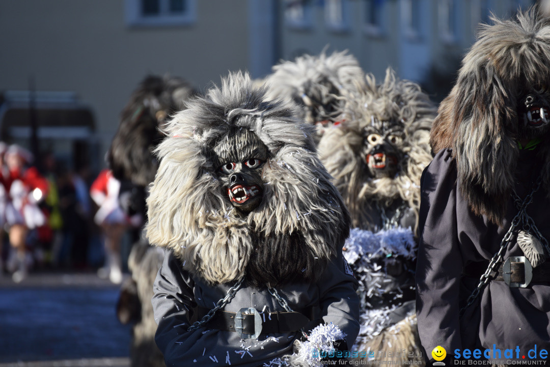 Jubilaeumsumzug - 60 Jahre Zeller Katz: Eberhardszell, 24.02.2019