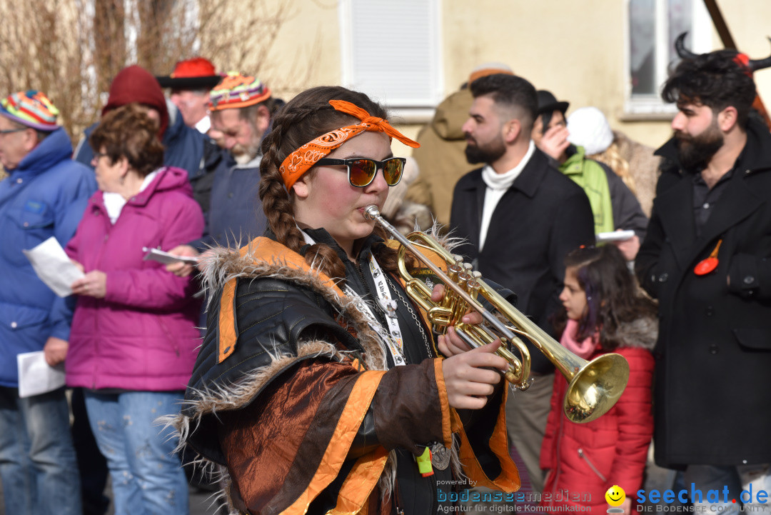 Jubilaeumsumzug - 60 Jahre Zeller Katz: Eberhardszell, 24.02.2019