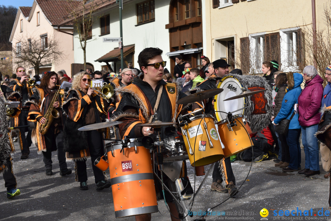 Jubilaeumsumzug - 60 Jahre Zeller Katz: Eberhardszell, 24.02.2019