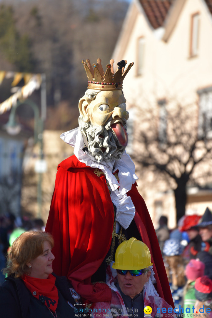 Jubilaeumsumzug - 60 Jahre Zeller Katz: Eberhardszell, 24.02.2019