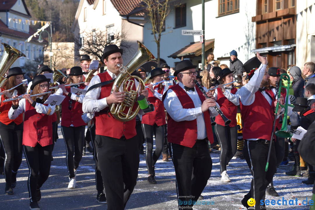 Jubilaeumsumzug - 60 Jahre Zeller Katz: Eberhardszell, 24.02.2019