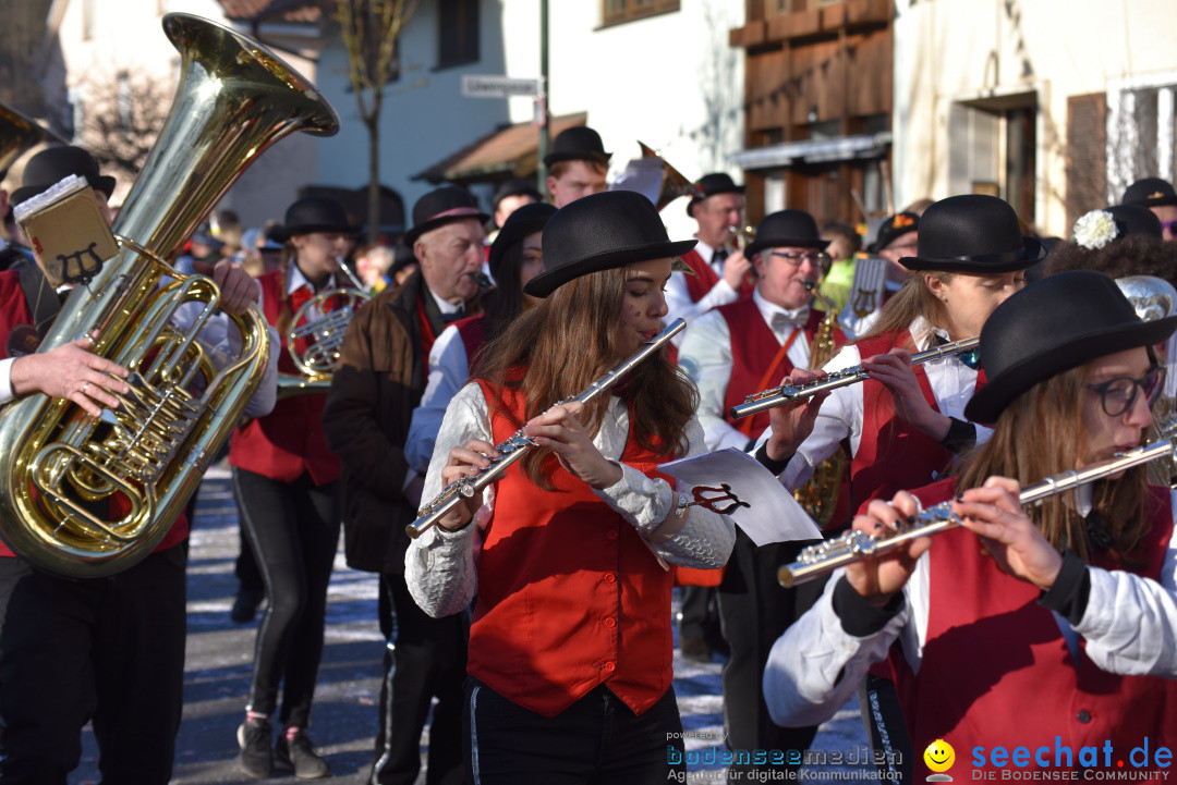 Jubilaeumsumzug - 60 Jahre Zeller Katz: Eberhardszell, 24.02.2019