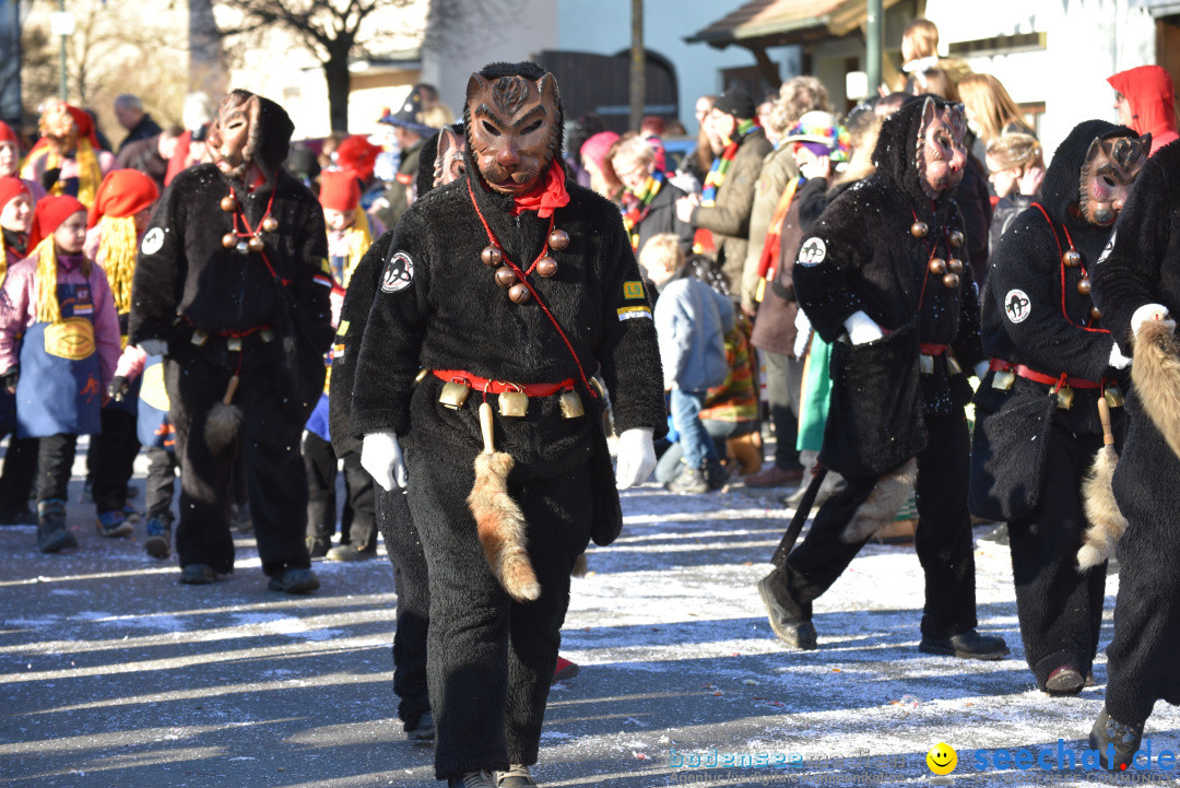 Jubilaeumsumzug - 60 Jahre Zeller Katz: Eberhardszell, 24.02.2019