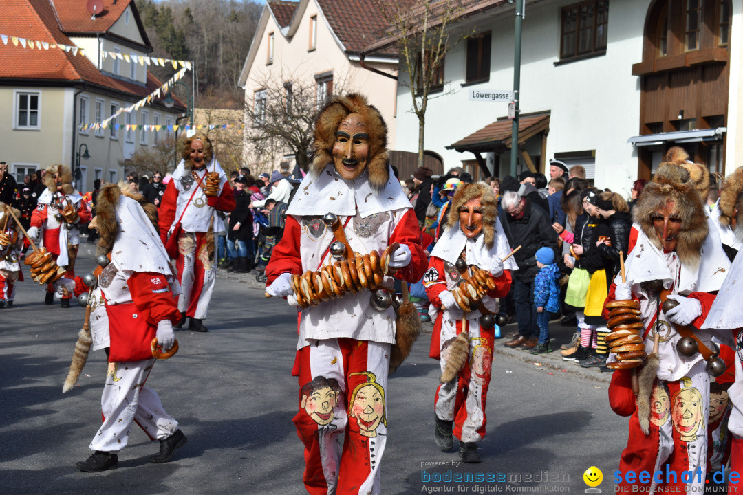 Jubilaeumsumzug - 60 Jahre Zeller Katz: Eberhardszell, 24.02.2019