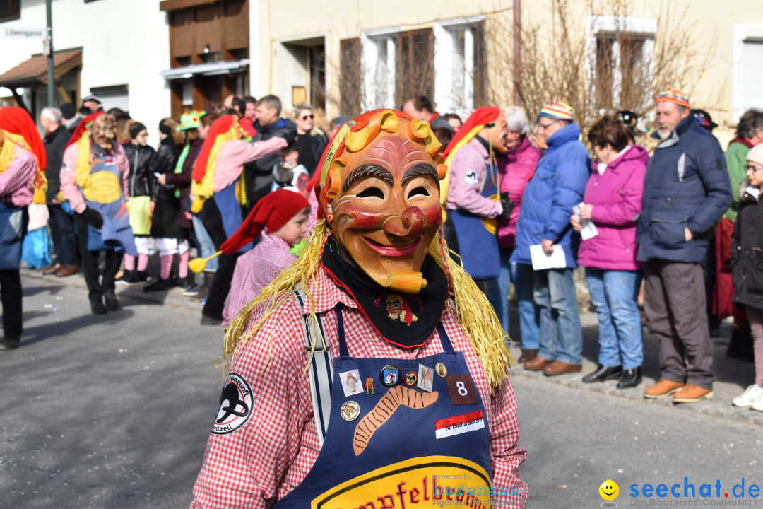 Jubilaeumsumzug - 60 Jahre Zeller Katz: Eberhardszell, 24.02.2019