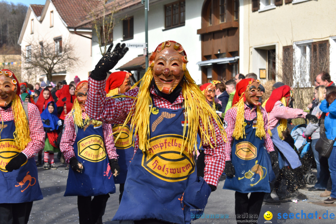 Jubilaeumsumzug - 60 Jahre Zeller Katz: Eberhardszell, 24.02.2019