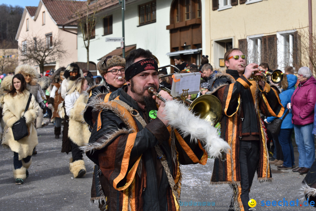 Jubilaeumsumzug - 60 Jahre Zeller Katz: Eberhardszell, 24.02.2019