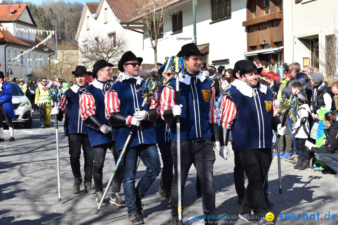 Jubilaeumsumzug - 60 Jahre Zeller Katz: Eberhardszell, 24.02.2019