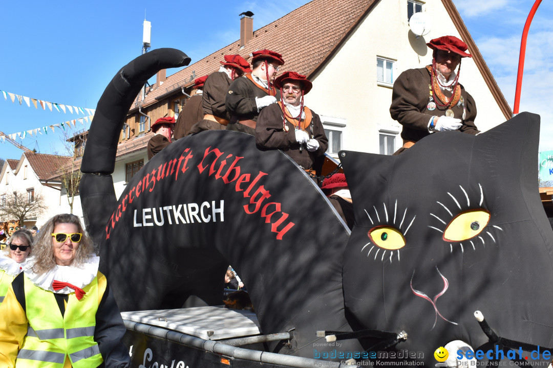 Jubilaeumsumzug - 60 Jahre Zeller Katz: Eberhardszell, 24.02.2019