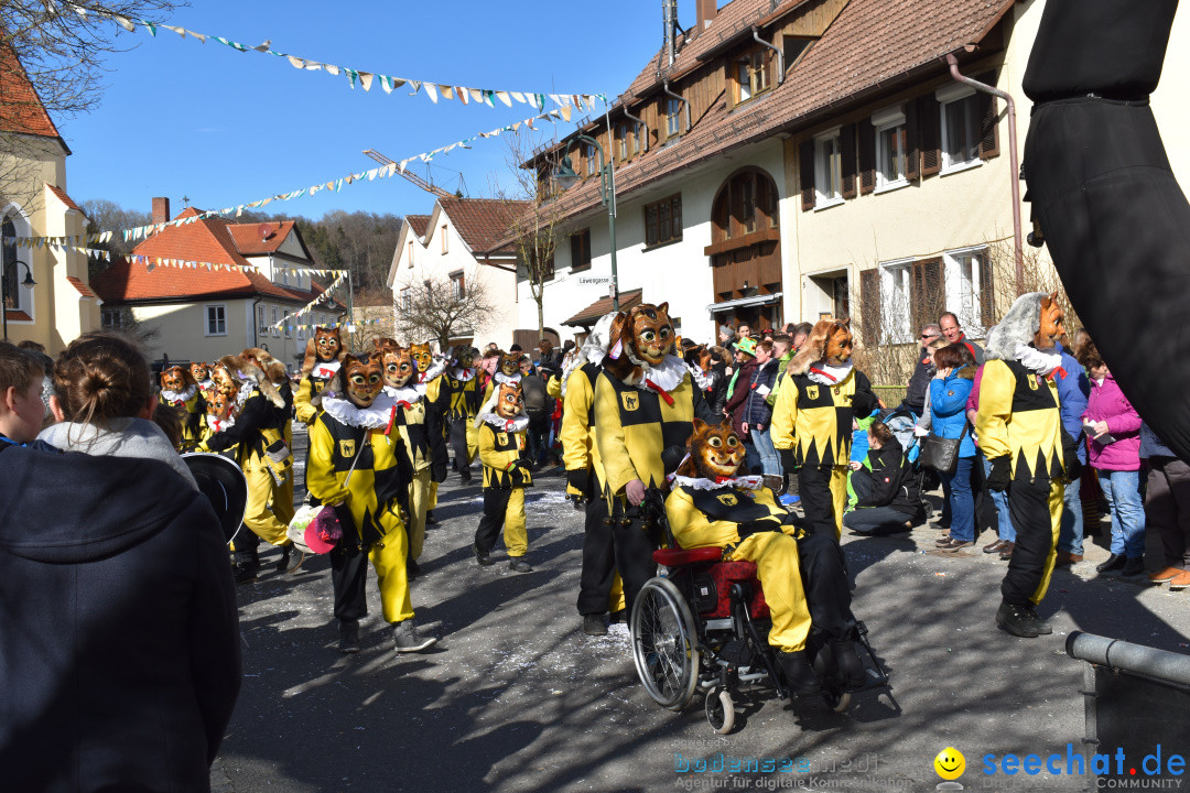 Jubilaeumsumzug - 60 Jahre Zeller Katz: Eberhardszell, 24.02.2019