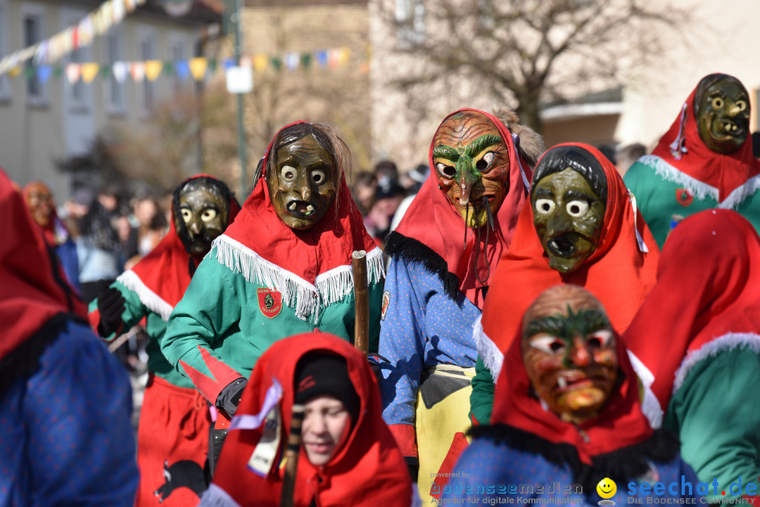 Jubilaeumsumzug - 60 Jahre Zeller Katz: Eberhardszell, 24.02.2019