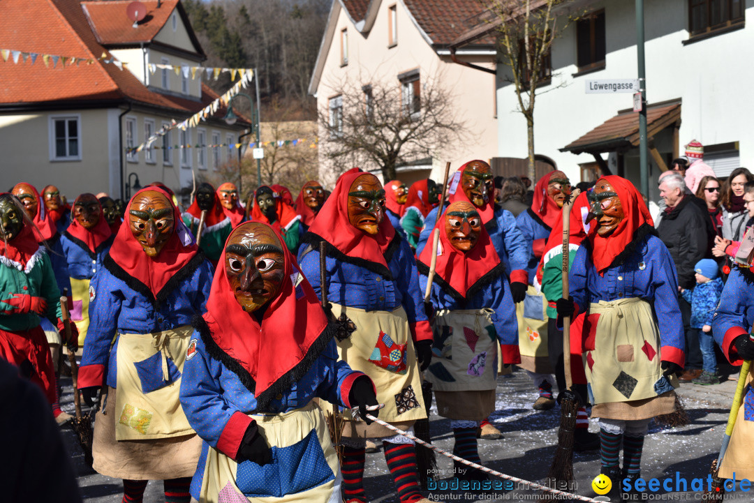 Jubilaeumsumzug - 60 Jahre Zeller Katz: Eberhardszell, 24.02.2019