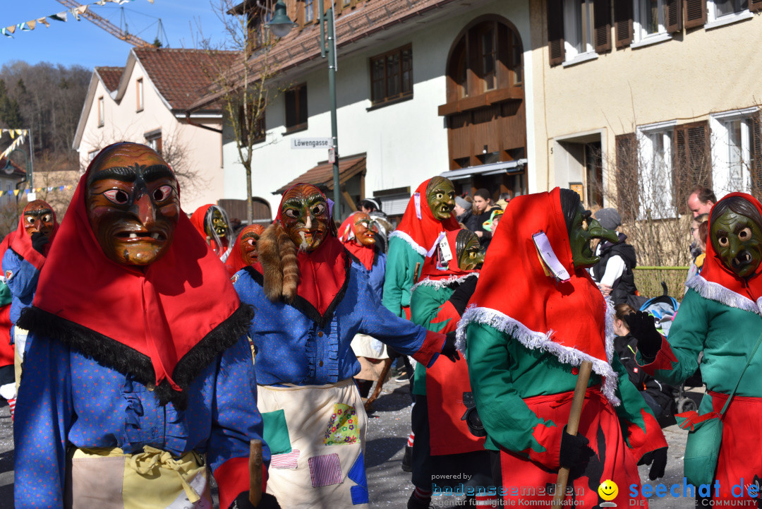 Jubilaeumsumzug - 60 Jahre Zeller Katz: Eberhardszell, 24.02.2019