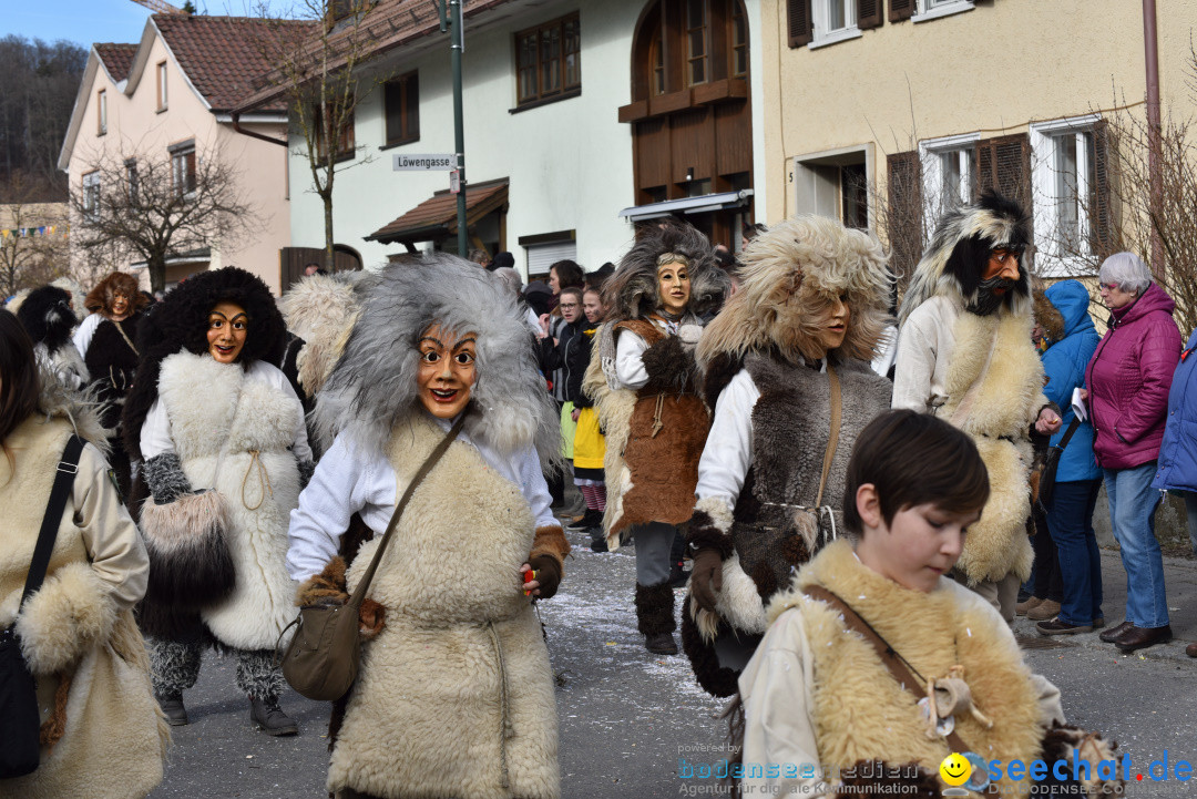 Jubilaeumsumzug - 60 Jahre Zeller Katz: Eberhardszell, 24.02.2019